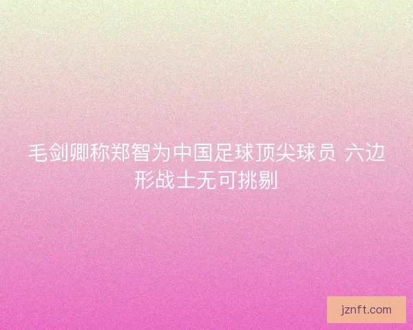 毛剑卿称郑智为中国足球顶尖球员 六边形战士无可挑剔